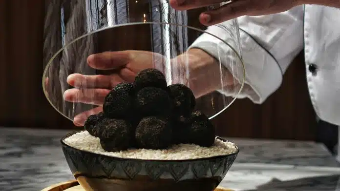 Faites-vous plaisir avec une délicieuse truffe noire !